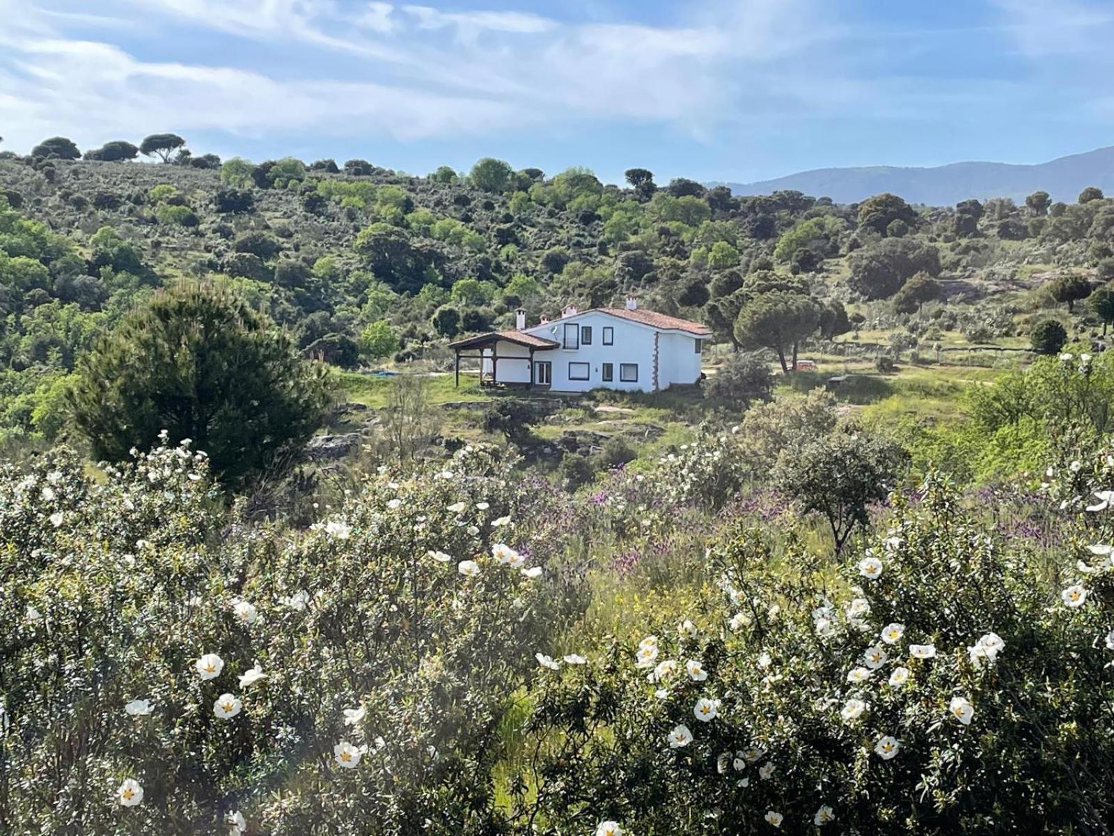 Finca Altair Madri Exterior foto